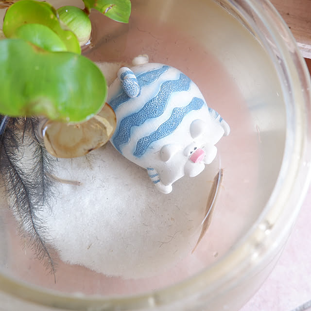 myu-さんの部屋