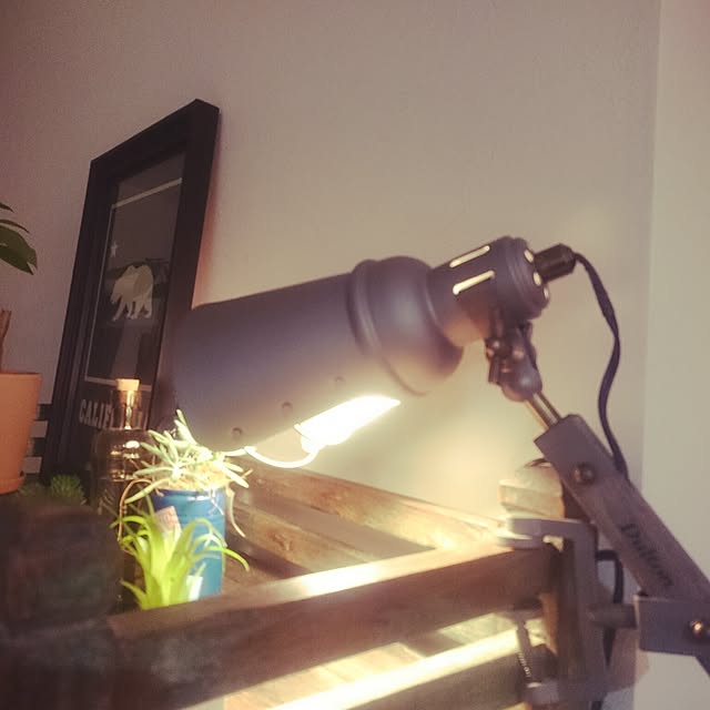 lampsさんの実例写真