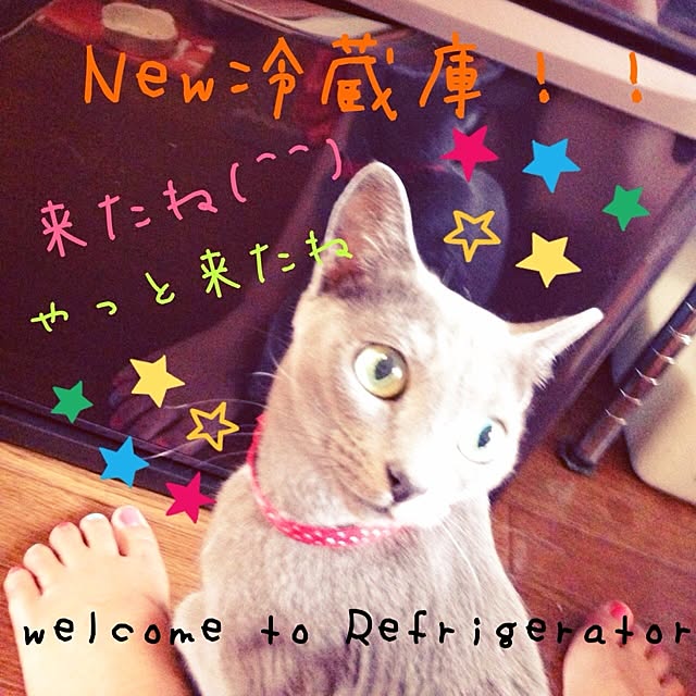 babymaiさんの実例写真
