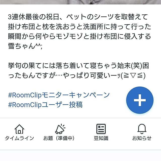 noguriさんの部屋