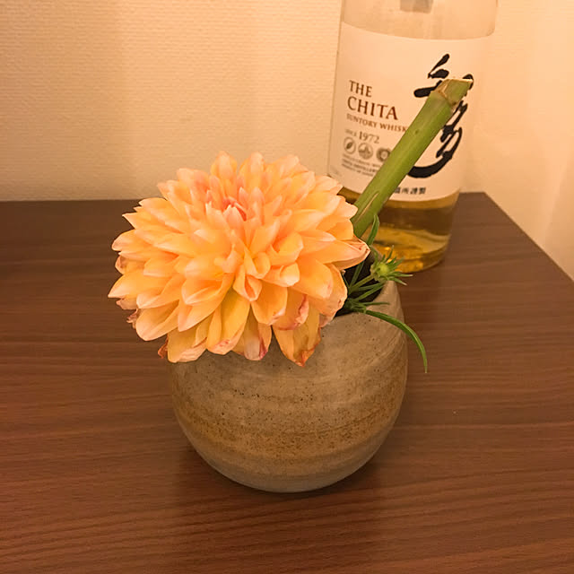 supongiさんの実例写真