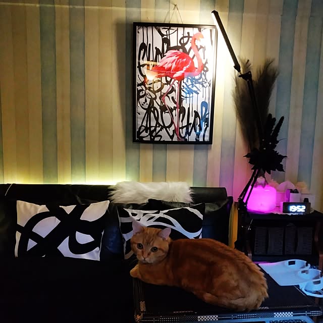 runaさんの実例写真