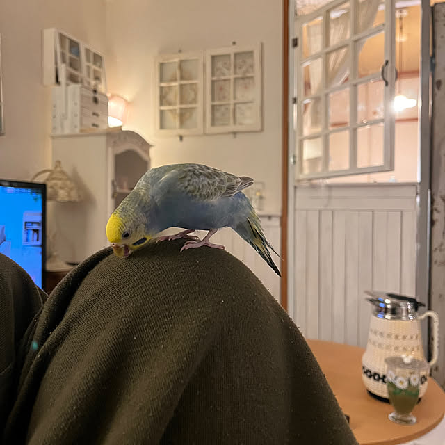 Atsukoさんの部屋