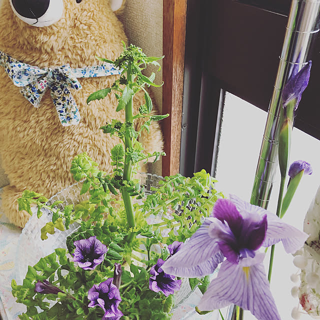 scabiosa1982さんの実例写真