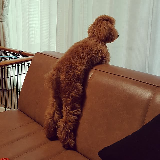 aiiさんの実例写真