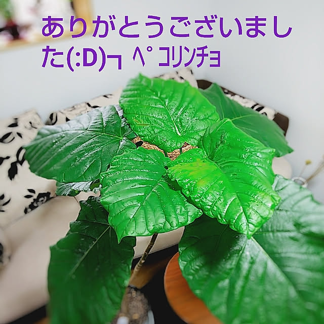 Motomeさんの実例写真