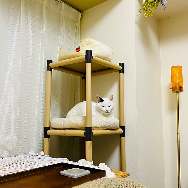 YUKAさんの実例写真