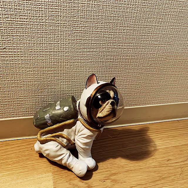 babanksyさんの実例写真