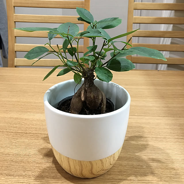 GACHAPINさんの実例写真