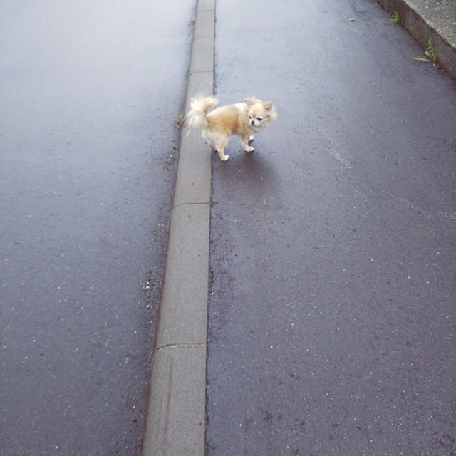 kiraさんの実例写真