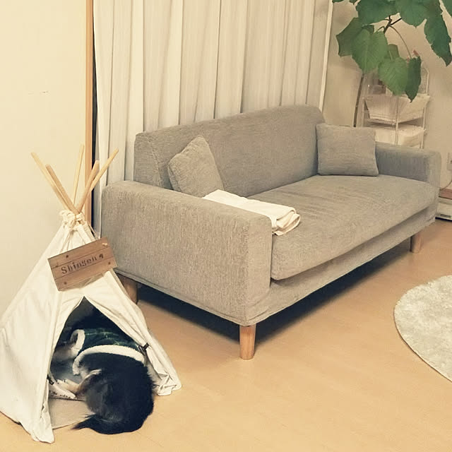 m.m_2009さんの実例写真