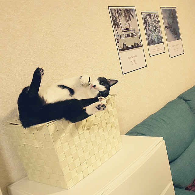 oseroさんの実例写真