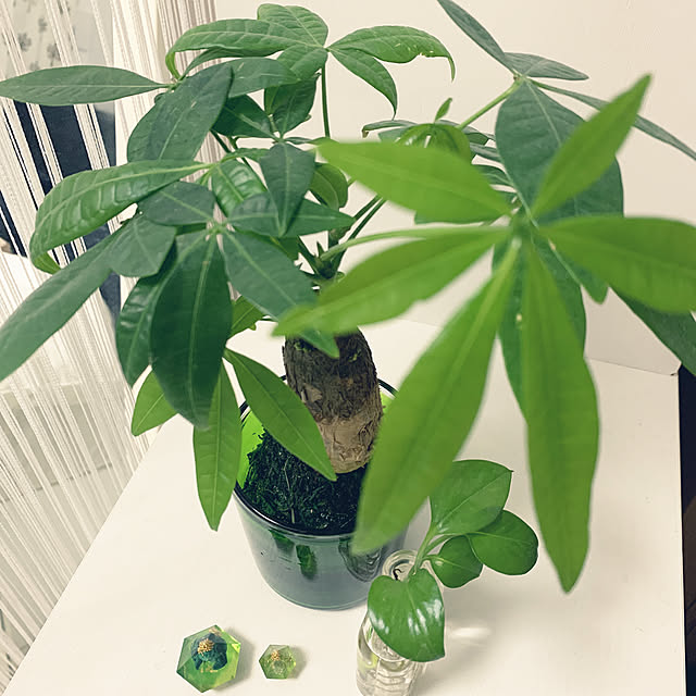 tomomiさんの実例写真