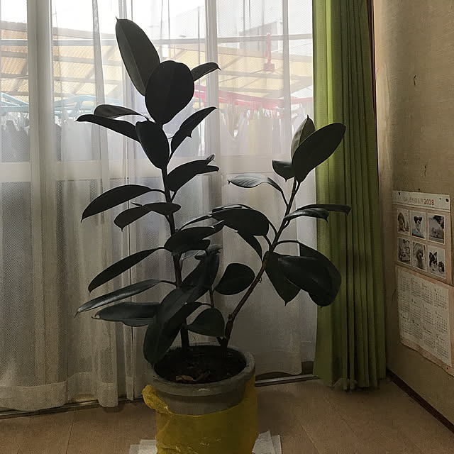 yoshie1197さんの実例写真