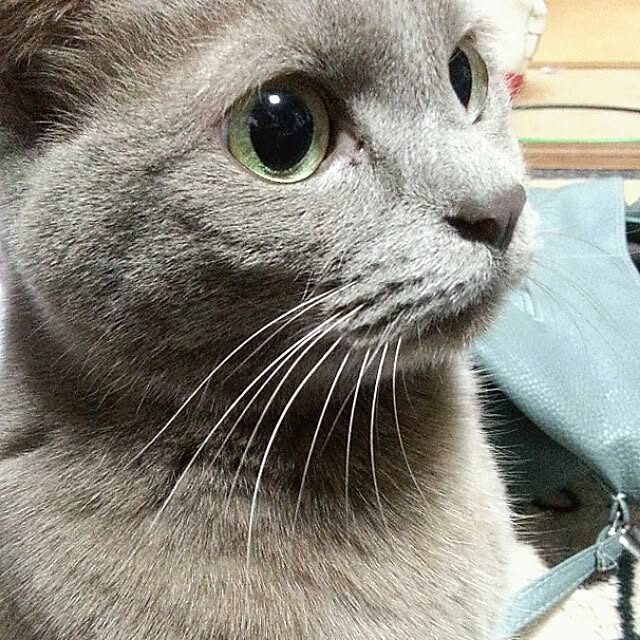 Yukikoさんの実例写真