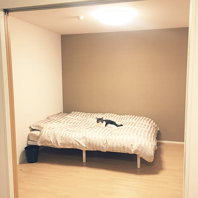 noji521さんの実例写真