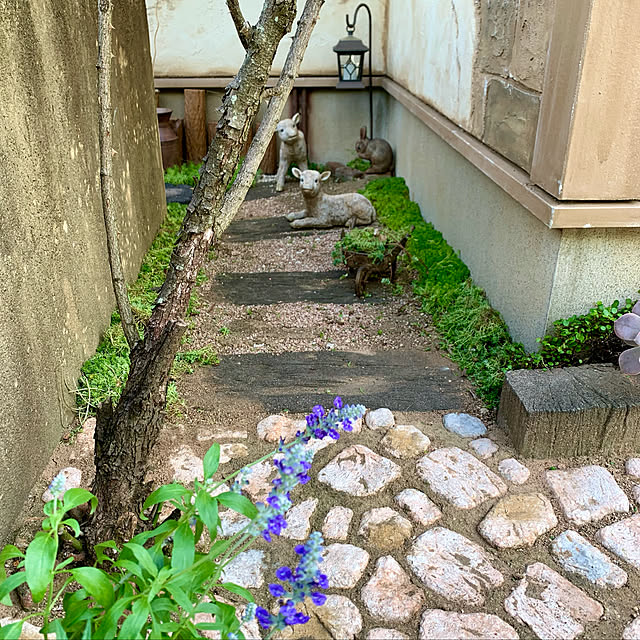 tabasaさんの実例写真