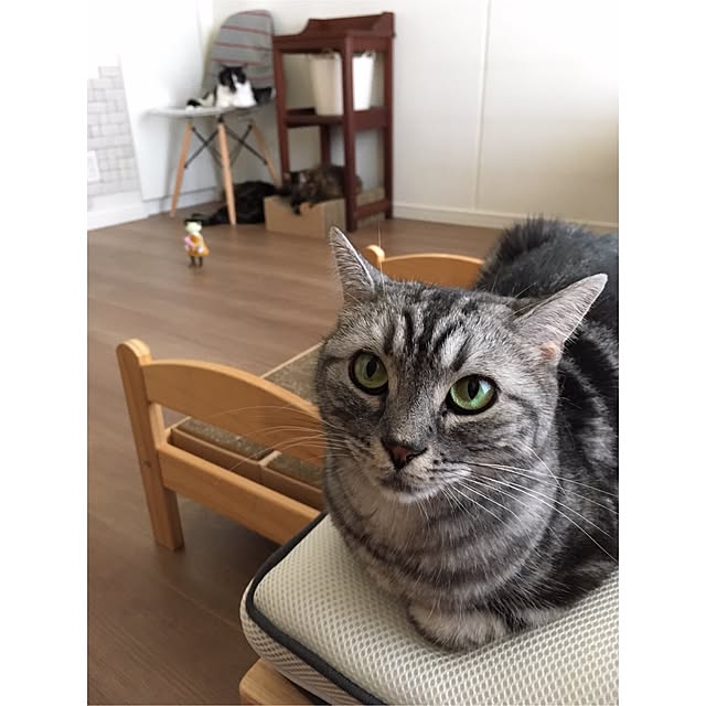 mikomaruさんの実例写真