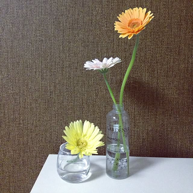 fujibiさんの実例写真