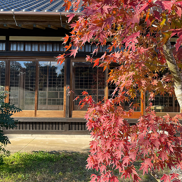 バス/トイレ/和風/古民家/もみじ/古民家リノベーション...などのインテリア実例 - 2024-11-29 08:15:10