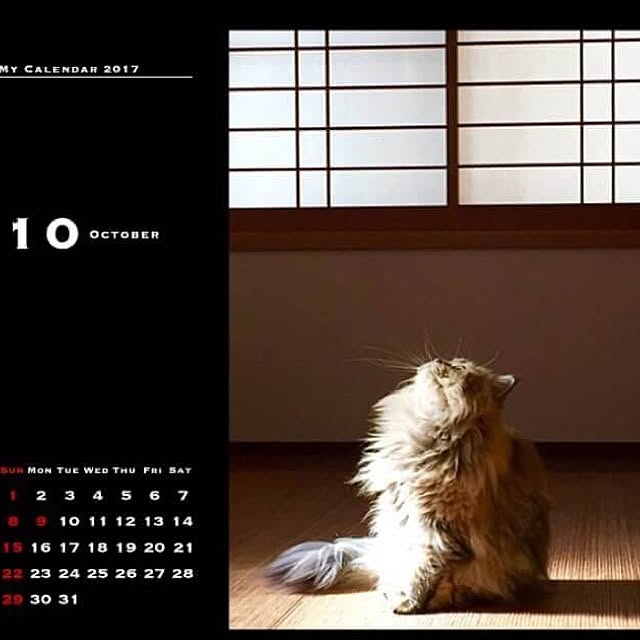 butachanさんの実例写真