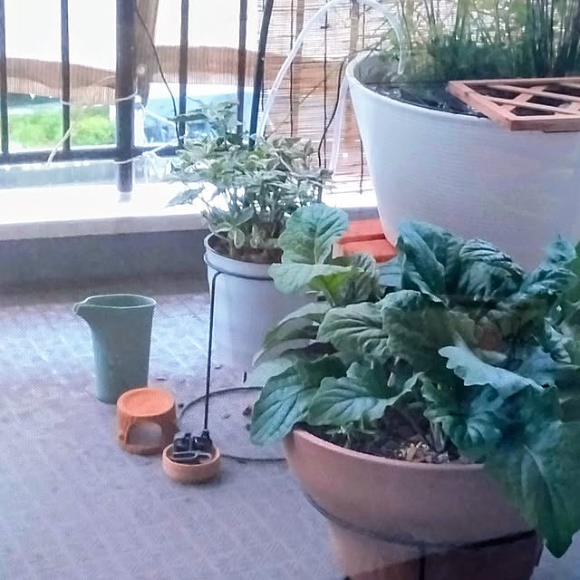 mi-saさんの部屋