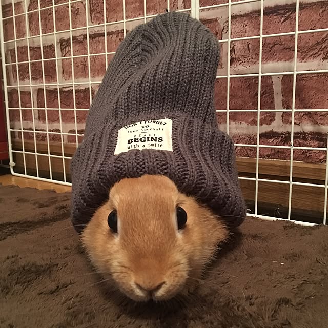 mariさんの実例写真