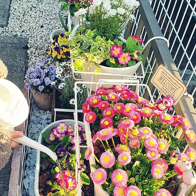 pomさんの実例写真