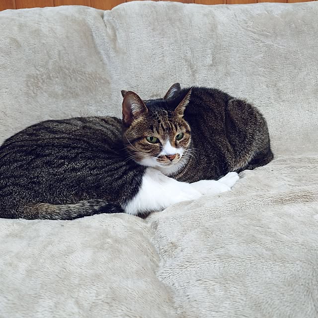 nachiさんの部屋