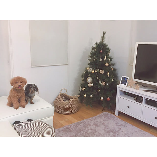 mogucocoさんの実例写真