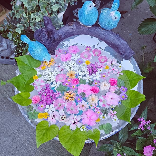 mocomocoさんの部屋