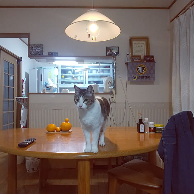 takaraさんの実例写真