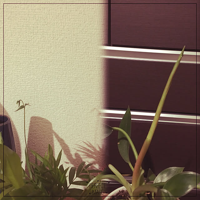 tomonon0812さんの実例写真