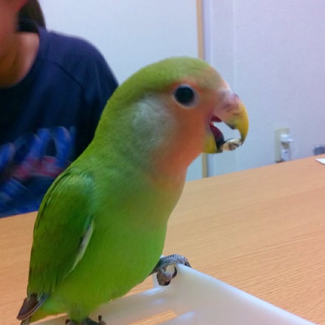 madokaさんの実例写真