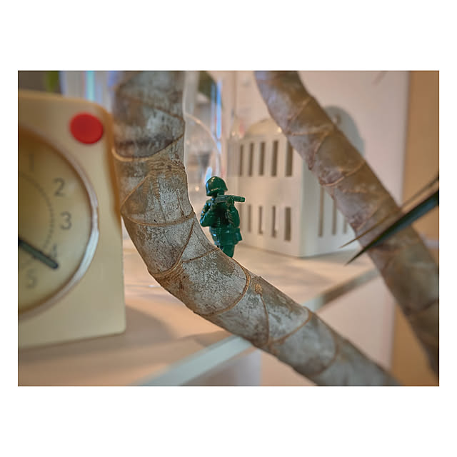 Oriorioさんの部屋