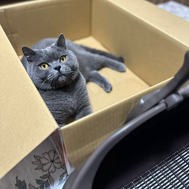 kittyさんの部屋
