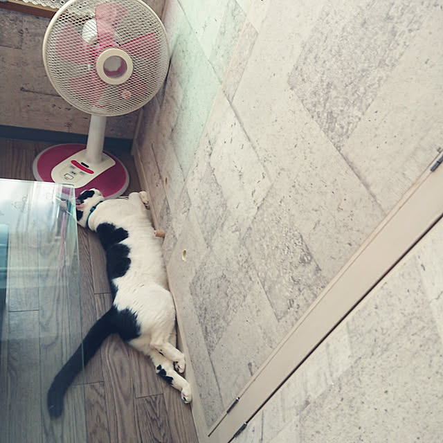 asuminさんの実例写真