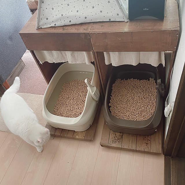 kotoriさんの実例写真