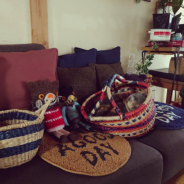 fukuさんの実例写真