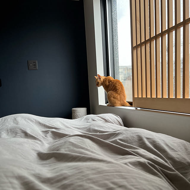 neko_daisukiさんの実例写真