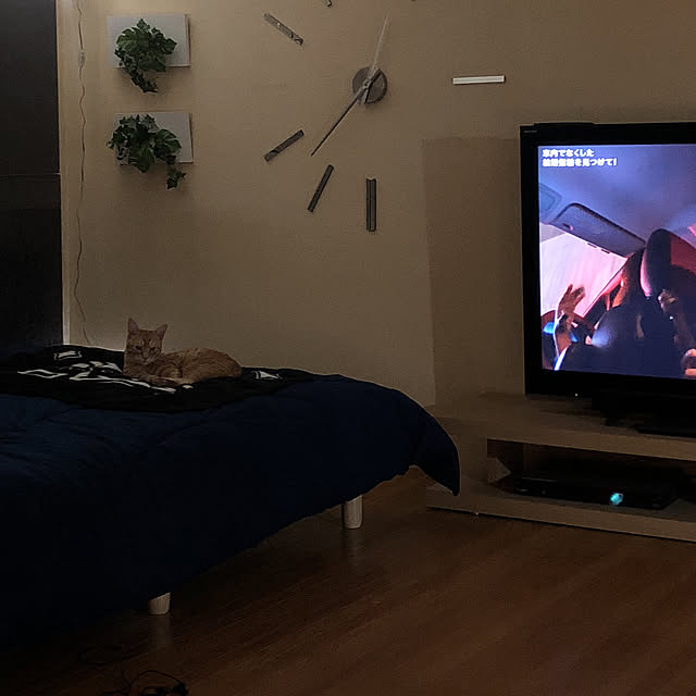 y-kaさんの実例写真