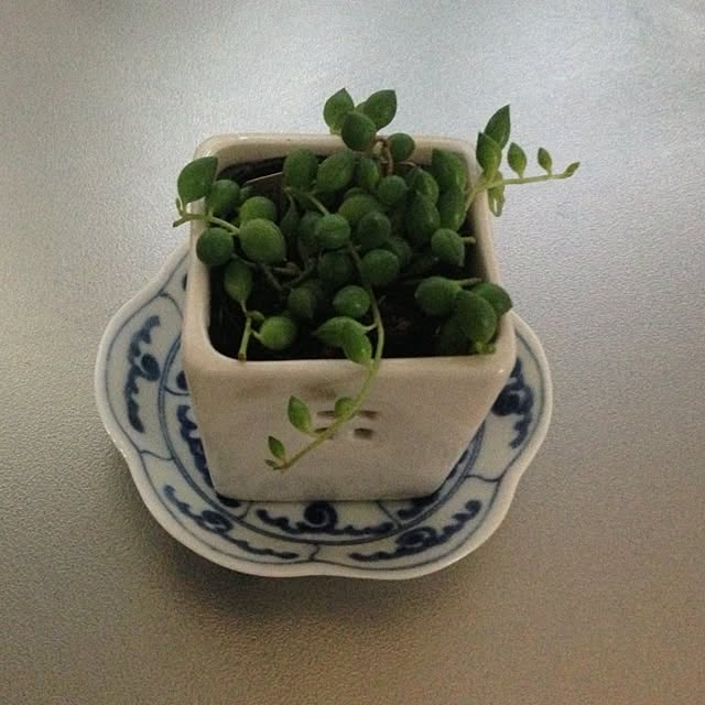 Kumikoさんの実例写真