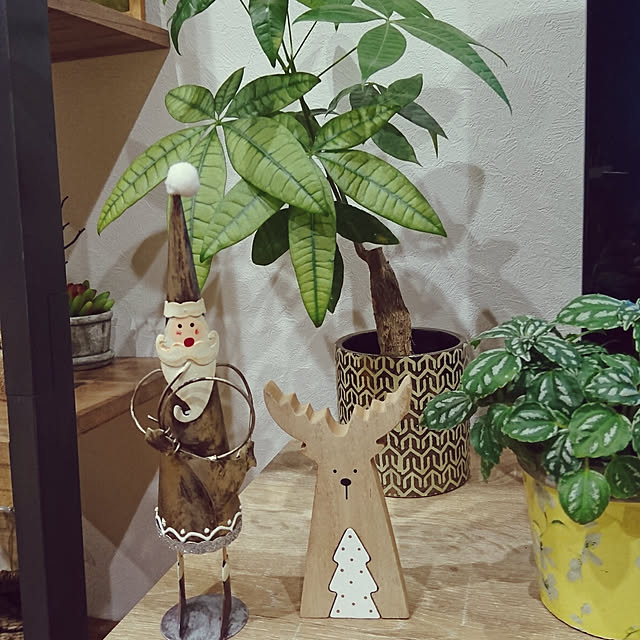 makiさんの実例写真