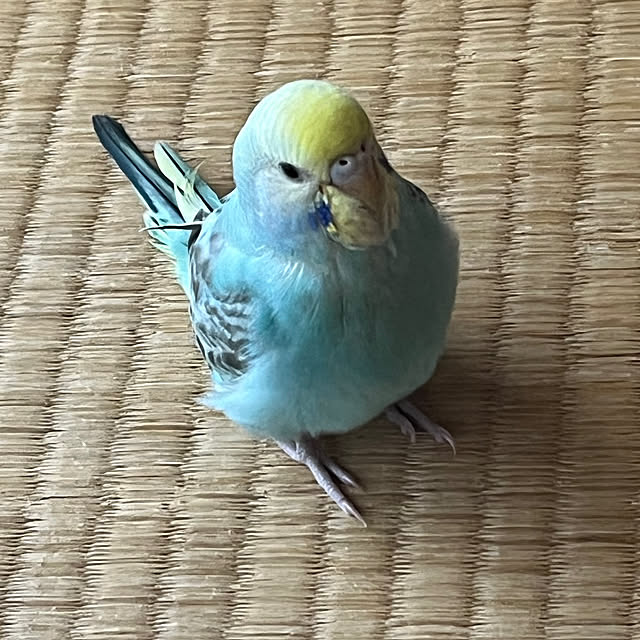 kurin_さんの実例写真