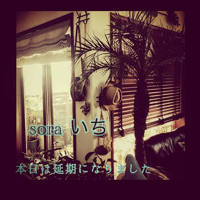 Mikaさんの実例写真