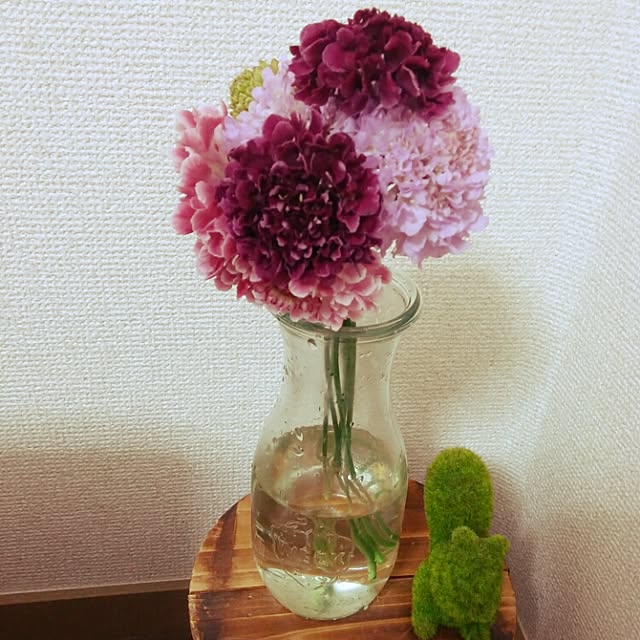 実例写真
