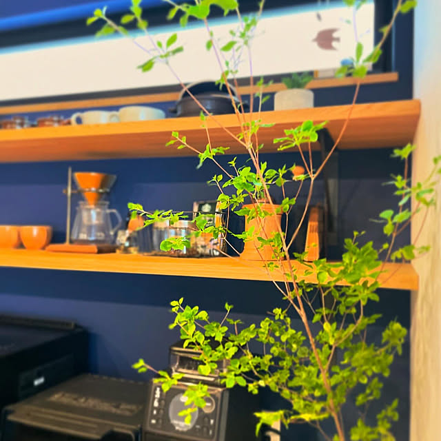 katakoさんの部屋