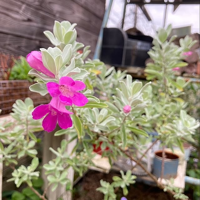 min_nimさんの部屋
