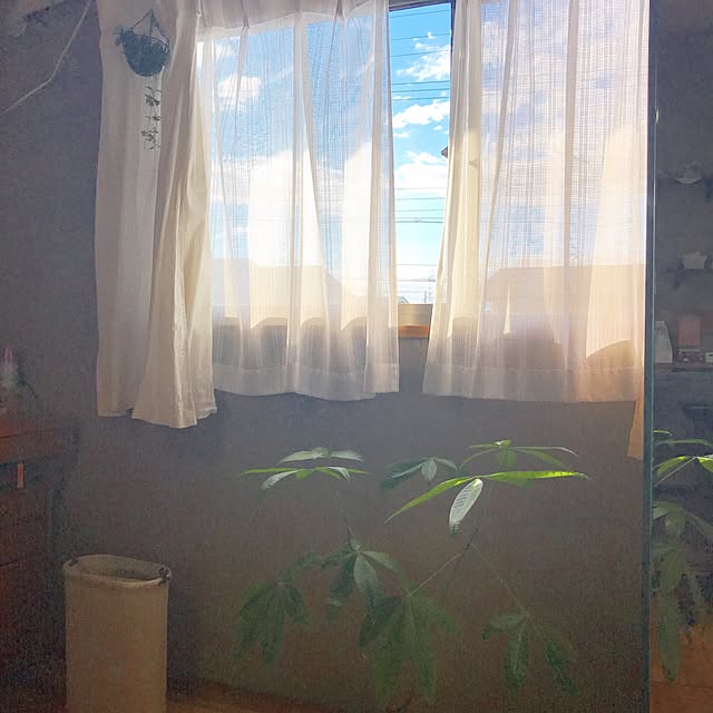 komoriさんの実例写真