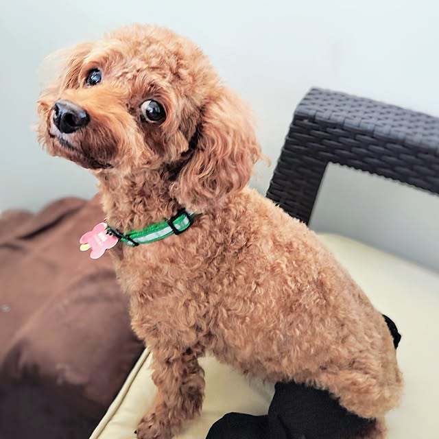 MOMOMAMAさんの部屋